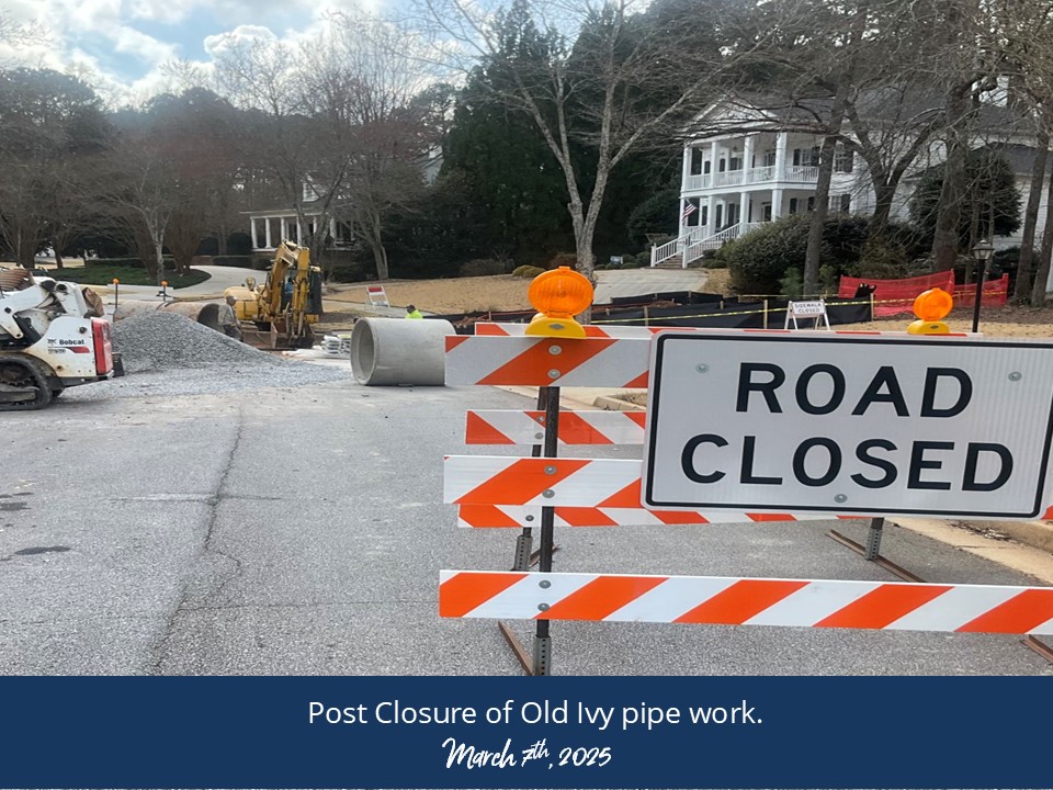 20250304-20sae-old-ivy